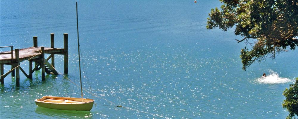 Elspeth swimming at Kawau Island, Northland, New Zealand 1992